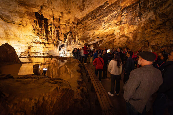 grottes-de-lacave-01